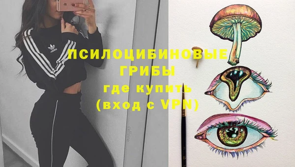 соль курить ск Горнозаводск