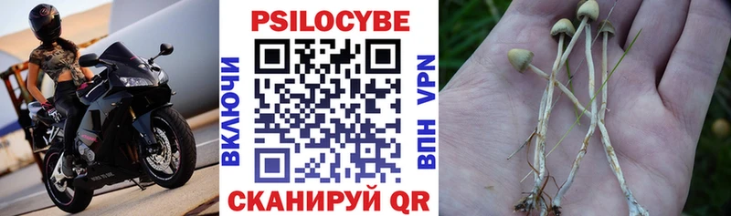 Псилоцибиновые грибы Cubensis  Купить  Химки 